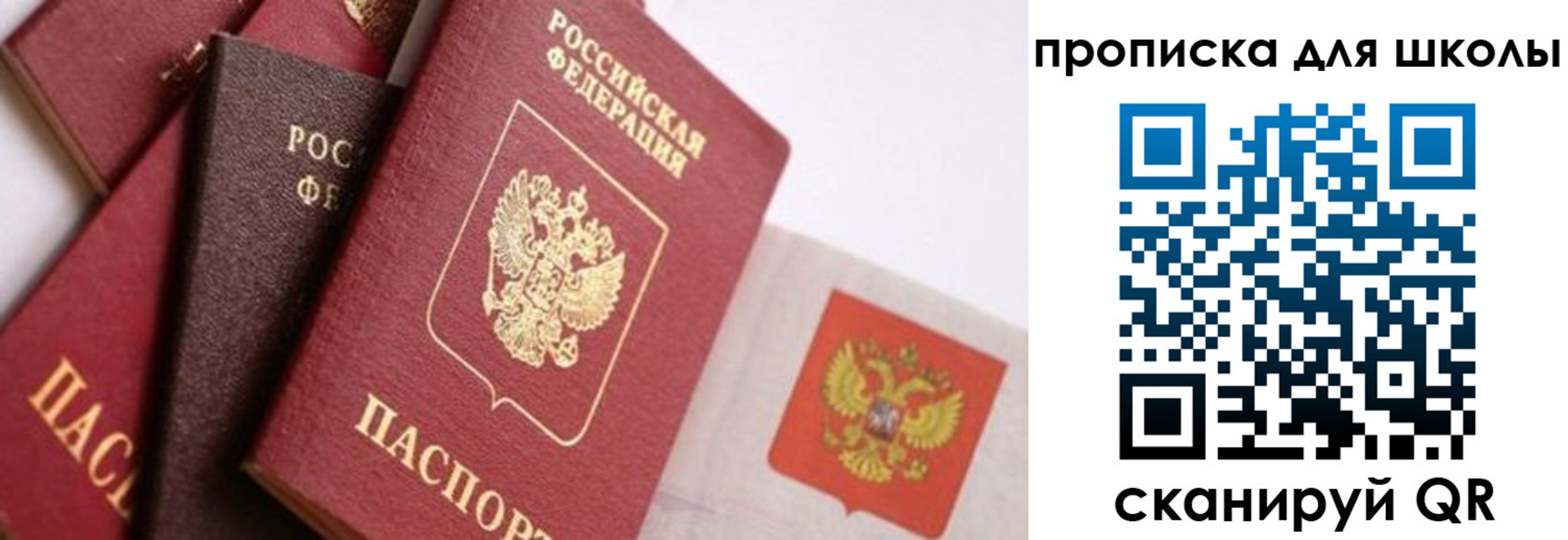 прописка поиск в Вологодской области